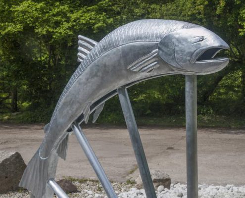 Camel Trail Salmon Sculpture | Poley Bridge, Cornwall | Thrussells Camel Trail Salmon Sculpture made with St Tudy Primary School. Made by Thrussells. Poley Bridge, Cornwall. Public Art Cornwall