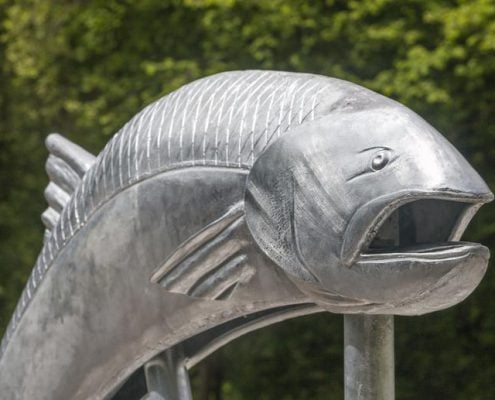 Camel Trail Salmon Sculpture | Poley Bridge, Cornwall | Thrussells Closeup image of Camel Trail Salmon Sculpture made with St Tudy Primary School. Made by Thrussells. Poley Bridge, Cornwall. Public Art Cornwall