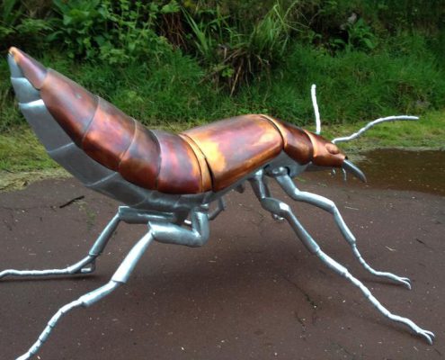 Copper and galvanised steel Giant Devils-Coach-Horse Beetle | Thrussells copper and galvanised beetle sculpture stands proud with legs out and tail up in a defensive pose.