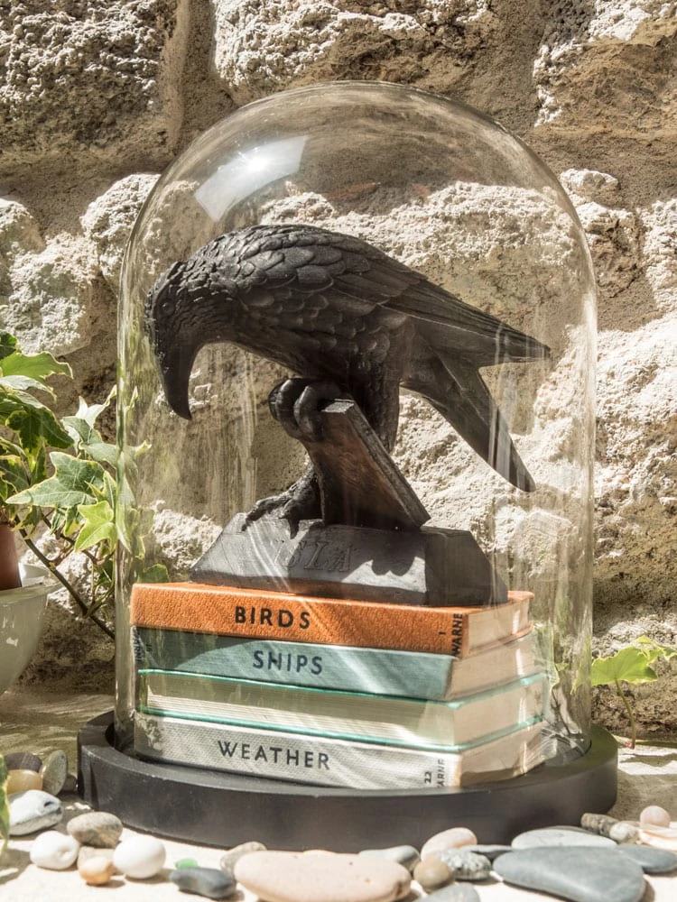 Isla Rook With A Book Statue in dome display