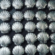 Metal Scallop shell plaques make up a one mile long trail along Minehead seafront. Made by Thrussells