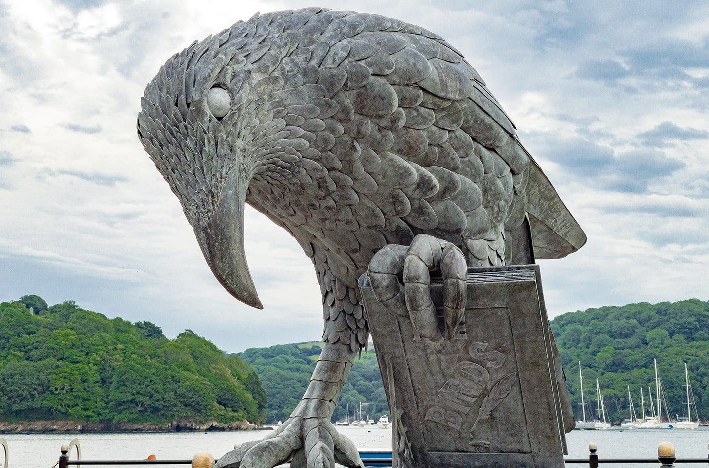 Thrussells Rook With A Book - Fowey