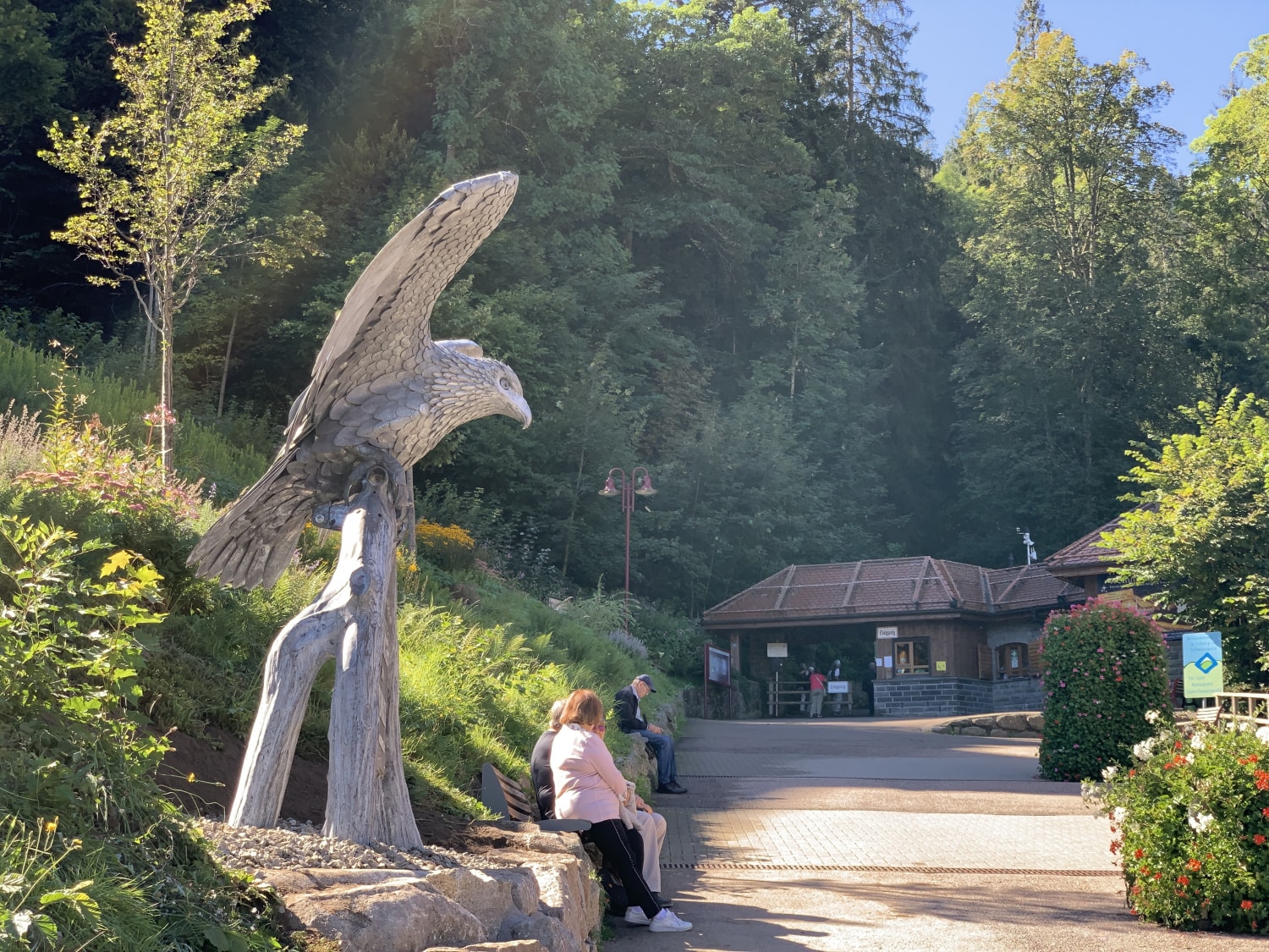 Triberg Eagle Thrussells - Greifvogel Und Eulenpark - Germany. Waterfalls Entrance Triberg-Eagle-Thrussells-Greifvogel-Und-Eulenpark-Germany.-Waterfalls-Entrance