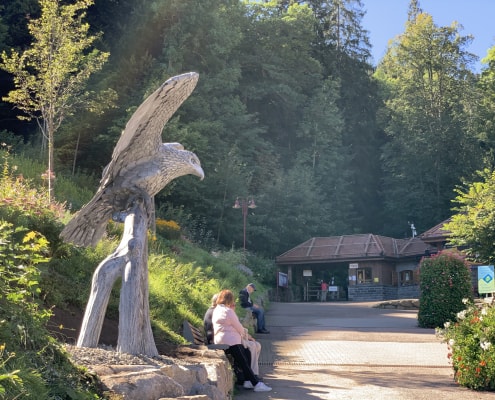 Triberg Eagle Thrussells - Greifvogel Und Eulenpark - Germany. Waterfalls Entrance Triberg-Eagle-Thrussells-Greifvogel-Und-Eulenpark-Germany.-Waterfalls-Entrance