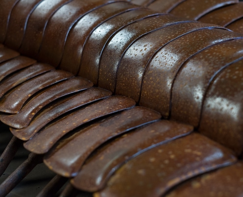 Cenipede-millipede-shell-1-Thrussells