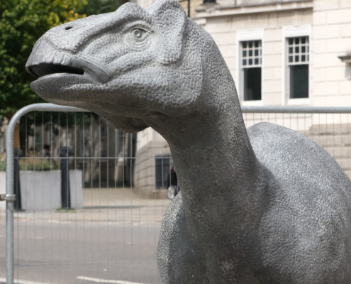 Maidstone Iguanodon Dinosaur