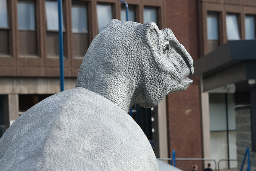 Maidstone Iguanodon Dinosaur