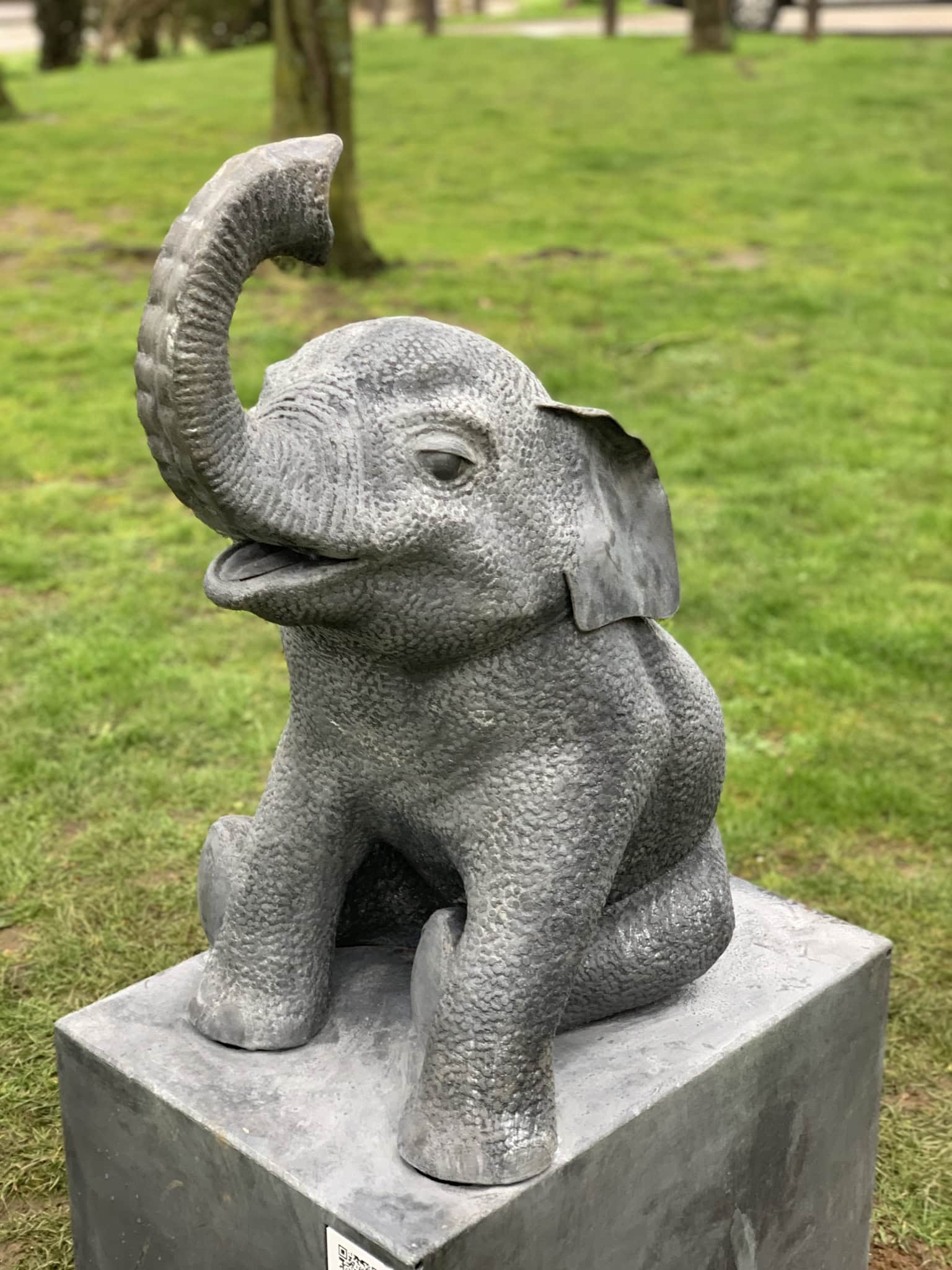 Baby Elephant sat down